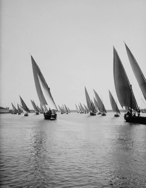 mostly-history:Boats on the Nile (Cairo,