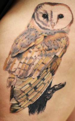 fuckyeahtattoos:  My barn owl tattoo done on 10/24 by Bob Lewis at the NEPA Tattoo Club in Pittston, PA.I sat for almost four hours and I have about 1.5-2 hours to go. Owls are my absolute favorite animal and it is one of the tattoos that I have been