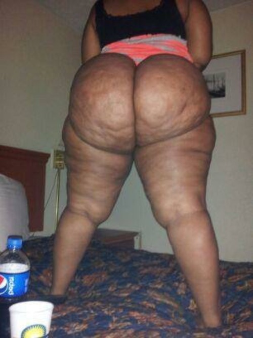 asslover92:  These are the types off asses I love 😍 