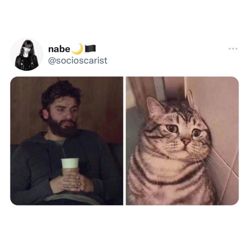 A 𝘃𝗲𝗿𝘆 𝗶𝗺𝗽𝗼𝗿𝘁𝗮𝗻𝘁 Thread I Found On Twitter 