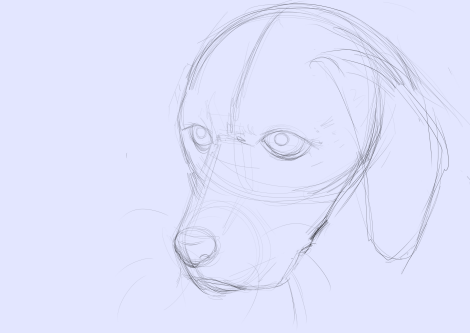 I Watched Dog Nightmares. I Loved The William Wingmen Dog Films, They Are Very Interesting To Me. The
