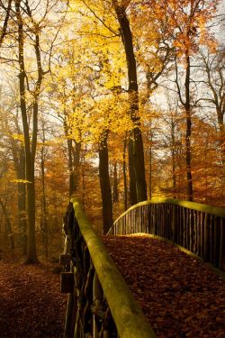 bluepueblo:  Autumn Bridge, Herbst, Germany