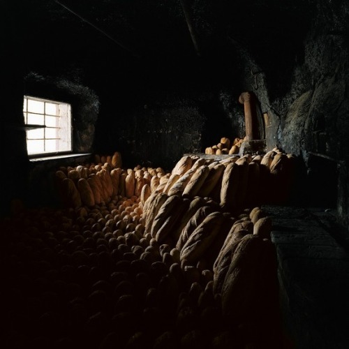 Matej Andraž Vogrinčič … has been creating site-specific work in urban and natural environments since the early 1990s.
