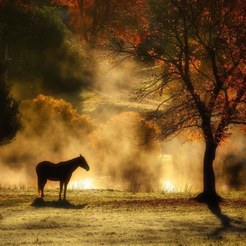 somethingsomethingtralala - Spooking, Spice, & All Autumn Nice