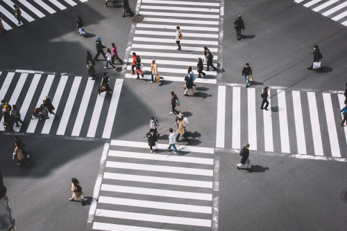 Week 13: Going places, Tokyo