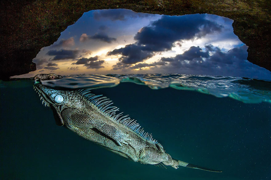 boredpanda:    20+ Breathtaking Photos Taken Between Two Worlds   