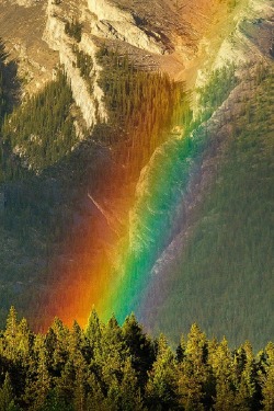 sublim-ature:  Rocky Mountains, British ColumbiaChristoph