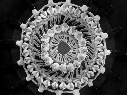 rouquinoux:Busby Berkeley incredible work in the 30’s.  Art legs…isn’t it?