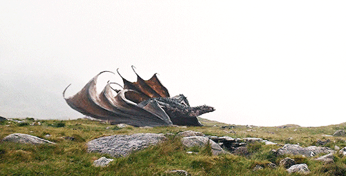 Every Dragon In House Of The Dragon Season 2