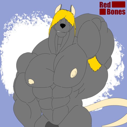 Pits And Also Introducing Ruben. The Eldest Son Of Beto My Rat OC. Hes Really Beefy. Like Father Like