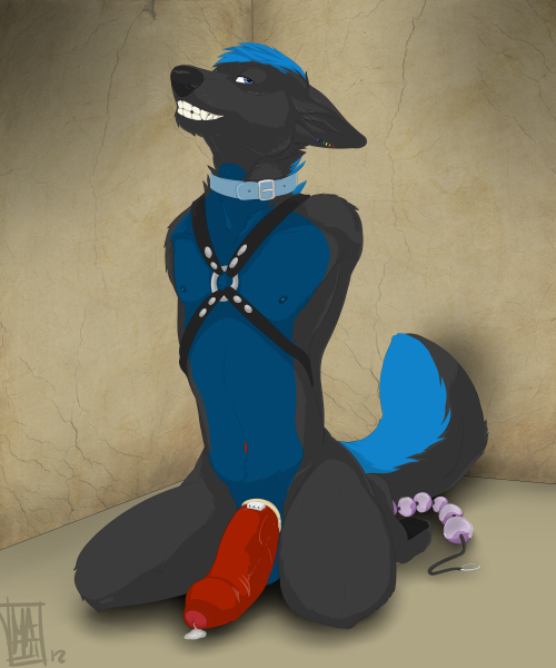arcticasabre:  Cockrings! 