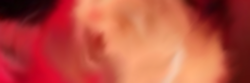 fairyrcse
