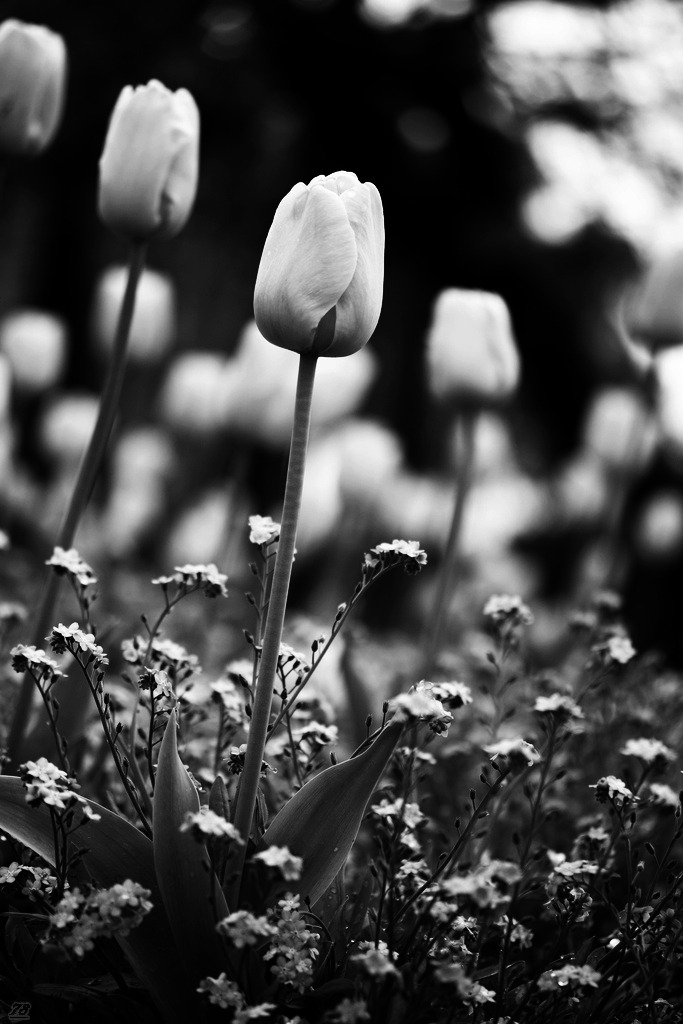 jorgerocha78:  -» 