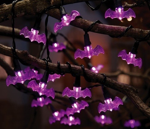 morgana-luna:  Purple aesthetic.