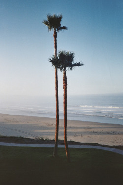 lvndcity:  Pismo Beach, California by Christian