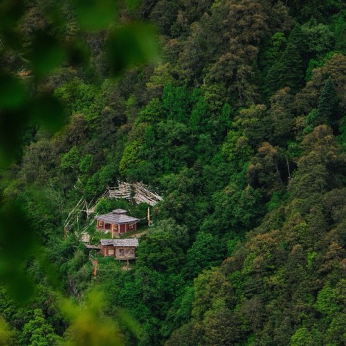 wasa: #tbt (1/3) to that little valley in the foothills of the Himalayas—one of the most photogenic 