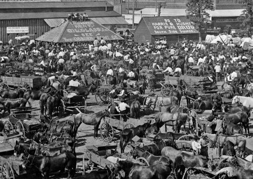 Market day in Cleburne, Texas circa 1890.  If you have a large computer monitor, look at the incredi