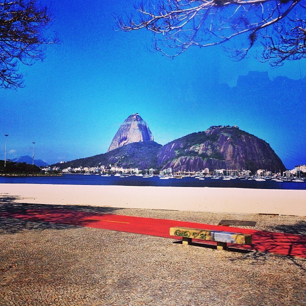 Vitalidade