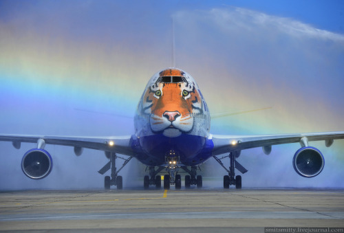 Transaero’s Siberian Tiger Boeing 747 in Vladivostok