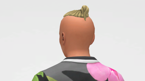 I Understand How To Modify Maxis.