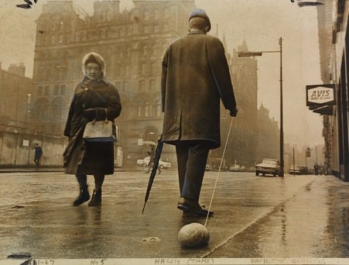 stariable:scotianostra:‘Man walking a haggis (tame) on Burns night, 1967’@ayeforscotland