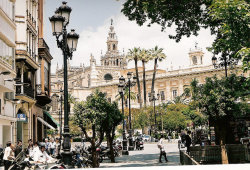 millionen:  Sevilla, La Geralda Tower in