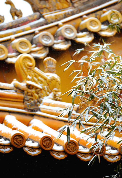 Winter snow & Forbidden City, Beijing, China. ( cr: X )