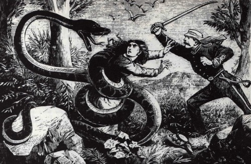  The Illustrated Police News, London, England, (1864-1938). 