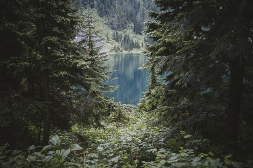 lonelywoods:ewigwinter:Inland By Cody Cobb☽ ❀ Spiritual Nature Blog ❀ ☾