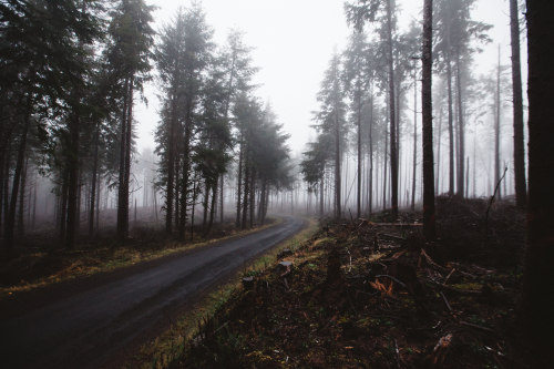 ourspacebetween:  samelkinsphoto:From a weekend excursion to the Oregon CoastBeautiful.