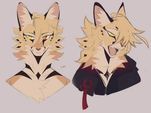 Self-indulgent Serval Guy