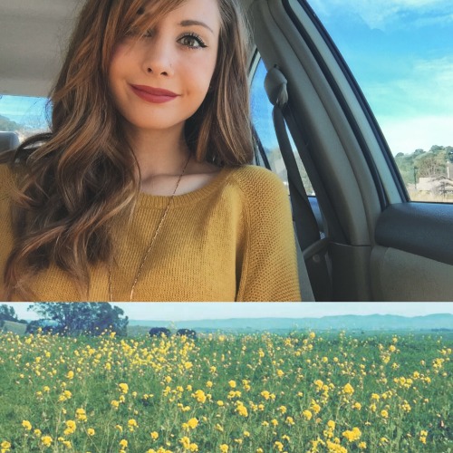 rachmacd:  I matched with the flowers in the vineyard at work today.