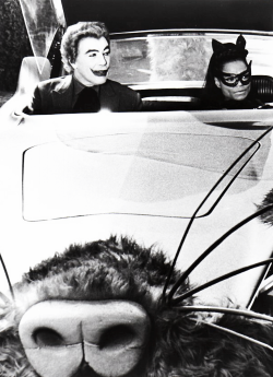 vintagegal:  Cesar Romero and Eartha Kitt as The Joker and Catwoman on the Batman TV series, 1960s 