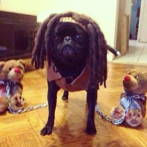 umaboatacadevinhoswag:  Michonne *-* #TheWalkingDead