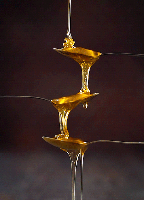 butteryplanet:our take on the popular honey shot. if you know the author of the original photograph,