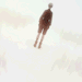 kilruas:NieR:Automata Ver1.1a ED »» 「 Antinomy 」 by amazarashi