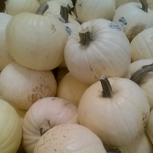Found white pumpkins at the store, today! #nofilter #pumpkin #October #Autumn #Halloween