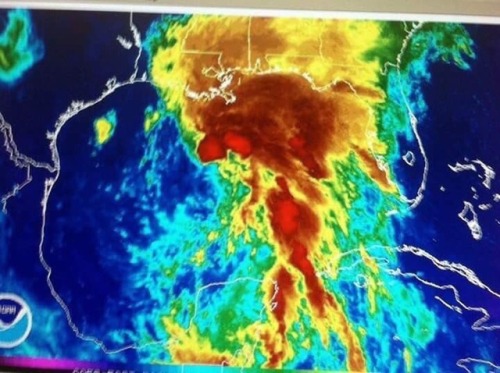 cozyqueen:“this tropical storm be looking like”