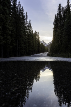 lvndscpe:Reflection | by Tyler Lillico