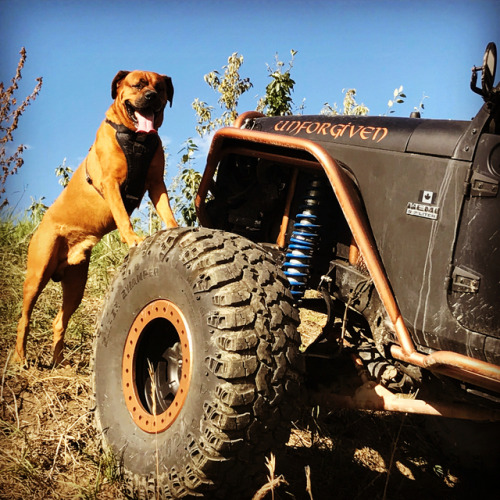 A little selection for @black_dog_offroad with posts such as &ldquo; the male model&rdquo;, &ldquo;