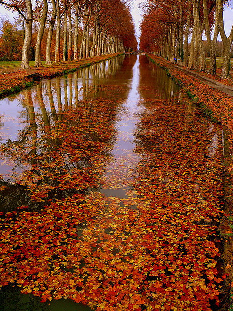 La beauté de l'automne, Canal de Garonne, France (by montestier).