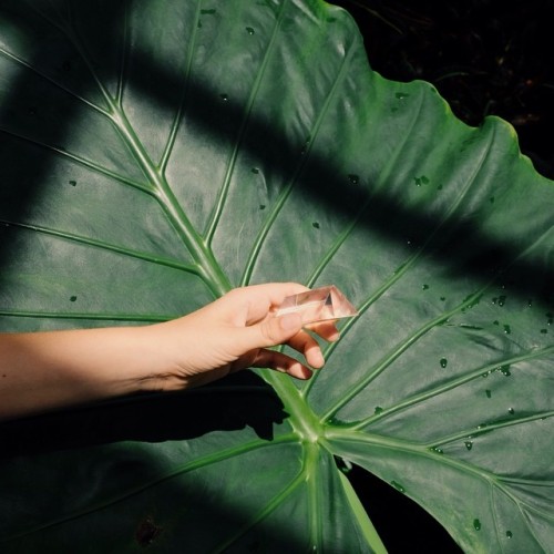 enjoycolorfullife:  bysaber:Good vibes ✘gypsealife   