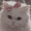 sparklesnglittter