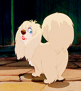 lovelydisneys:  “Ah, but remember, my friends. Even Tramp has his Achilles heel.” 