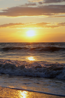 livingpursuit:Golden Waves | Photographer