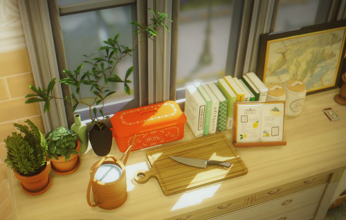 My Favourite Place In Any Apartment - The Kitchen