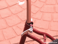 regexkind:   thingsfittingperfectly:  A hotdog in a bicycle seat tube   
