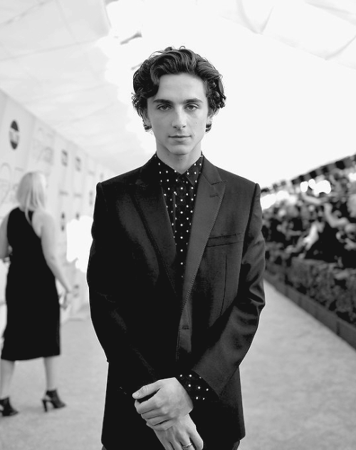 1.27.19 - Timothée Chalamet attends the 25th Annual Screen Actors’ Guild Awards at The Shrine Audito