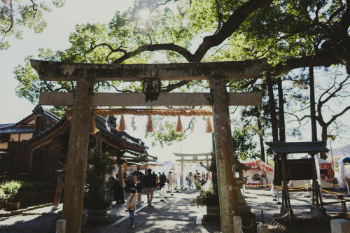 『御神木』sony a6400 + SIGMA 16mm F1.4 DC DN | Contemporary2022.01.05location : 静岡県 Shiuoka, Japan神社、事任八幡