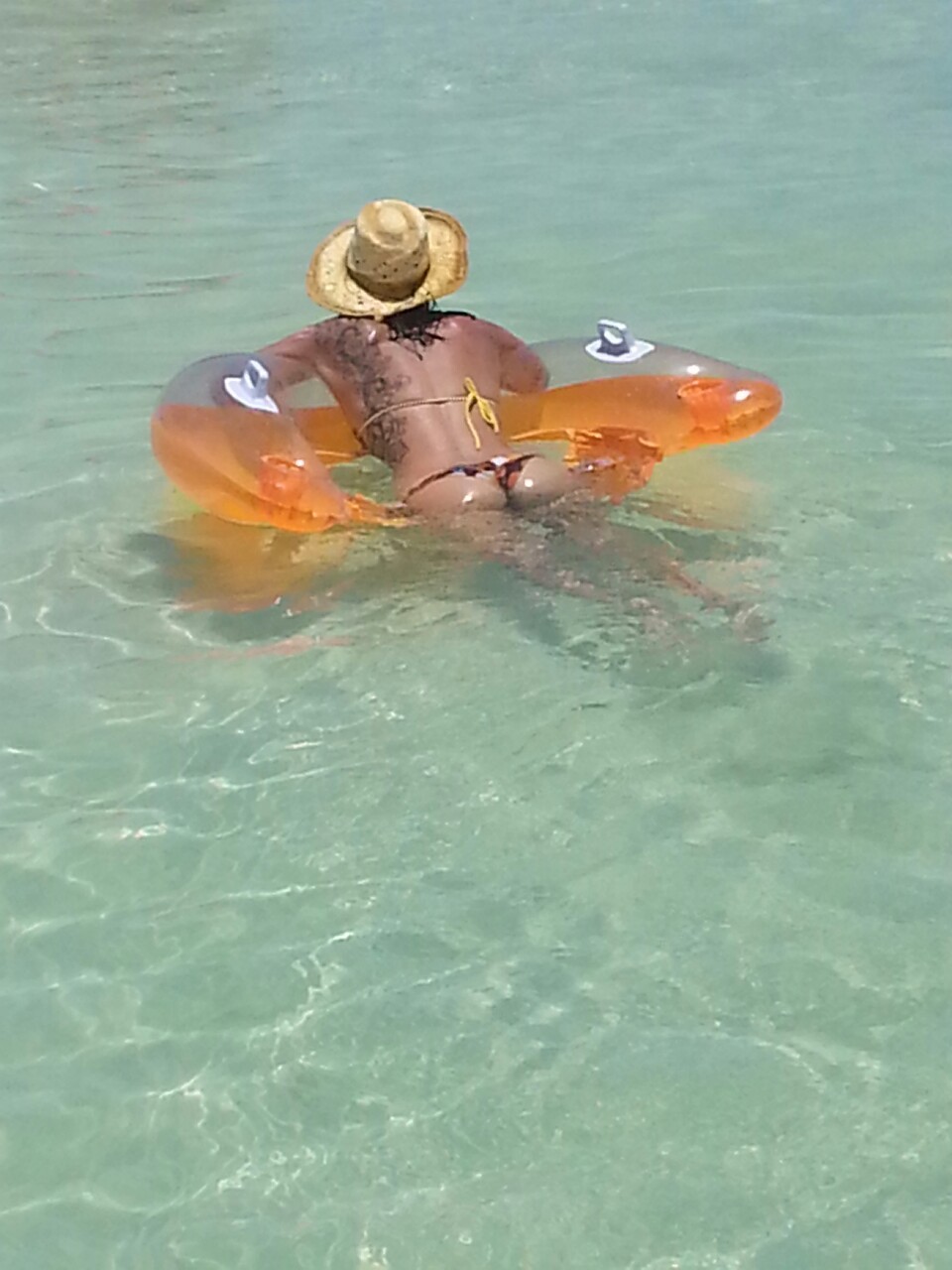dysfunctional-amateurs:  Sandy clam in the Florida Keys!